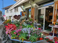 Blumen und Pflanzen