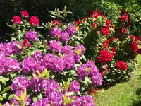 Royal Jardin sarl