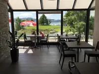 Grüene Aff