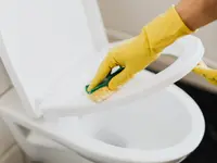 Ecofox Clean Home Services