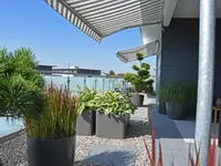 gartenbaumann AG