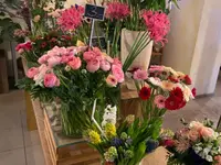 Blumen Müller