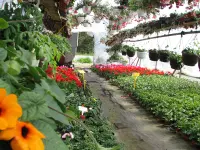 Schneider Gartenbau / Tiefbau GmbH
