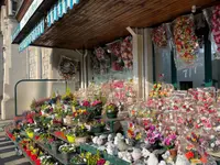 Joaquim Pinto Rodrigues Fleurs
