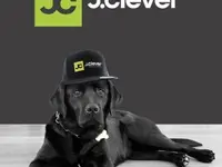 J.Clever SA | Impianti fotovoltaici di design