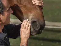 TIERARZT KILCHBERG - Klicken Sie, um das Bild 21 in einer Lightbox vergrössert darzustellen