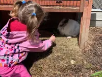 Kita Dorfhäsli