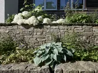 garten•kultur