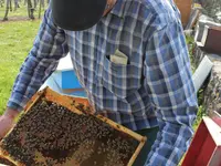 Marché Paysan Bühlmann - Klicken Sie, um das Bild 5 in einer Lightbox vergrössert darzustellen