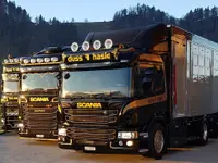 Duss Viehhandlung GmbH