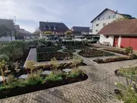 Sacher Gartenbau