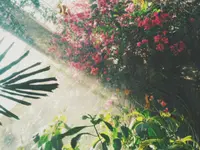 Neuhaus Stefan, Landschaftsgärtner/Paysagiste