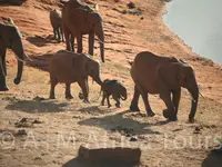 A + M Africa Tours GmbH