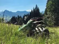 Heim Landtechnik AG