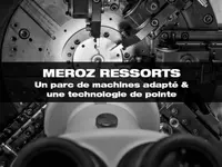 Meroz Ressorts SA