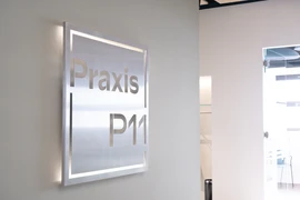 Praxis P11