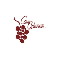 Cave Adamare - Wenger und Marti GmbH logo