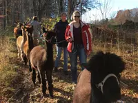 Alpaka Trekking Balmberg Tannenheim