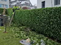 Die Bräm AG