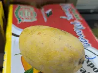 Mayuran's Asian Multi Kiosk | Srilankische und Indische Spezialitäten in St. Gallen