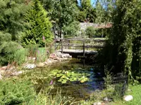 AQVA Irrigation & Outdoor Lighting Solutions