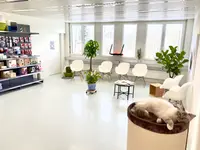 Katzen-Praxis.ch