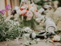 Rieder Fleurs