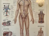 Medizinische Massagepraxis Enz Martina