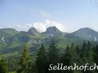 Sellenhof Kinderreitlager - Klicken Sie, um das Bild 3 in einer Lightbox vergrössert darzustellen