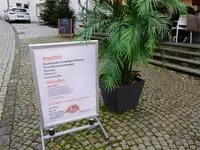 Pedisa