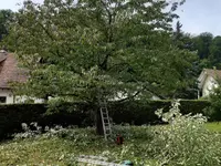 Blattert Garten- und Rasenpflege GmbH