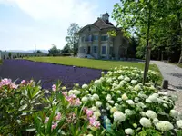 Rothenbühler Gartenbau AG