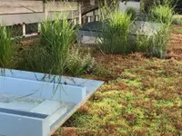 Rust & Co AG, Gartenbau