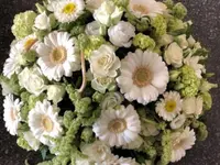 Blumen P. Gätzi