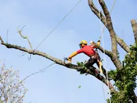 Entreprise Vert-Tige - Klicken Sie, um das Bild 2 in einer Lightbox vergrössert darzustellen