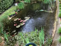 Aquarium-Bassin SARL