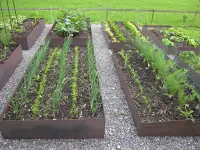 Bowee Gartenbau AG