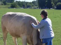 Haken'âme