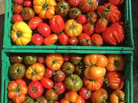 La ferme de Belflori