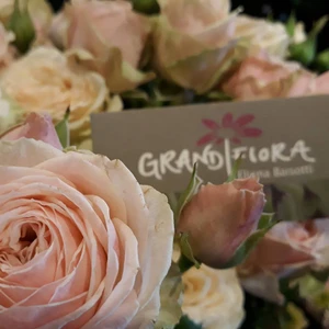 Grandiflora