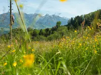 Elektrizitätswerk Obwalden