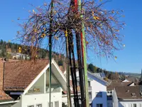 Arnold-Arnold GmbH