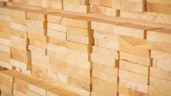 Bauholz Arten