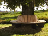 Binz Schreinerei AG