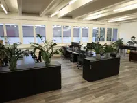 generation y GmbH