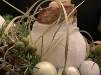 aah!la grande maison