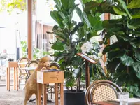 ANTICA OSTERIA DEL PORTO