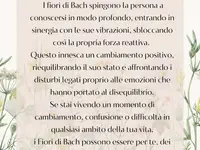 L'atelier dell'Anima di Leonora Alijevic Riconosciuta dalle casse malati complementari