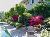 Wittwer Blumen Gartenbau AG - Klicken Sie, um das Bild 18 in einer Lightbox vergrössert darzustellen