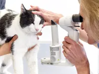 Marigin Tierklinik - Zentrum für Tiermedizin